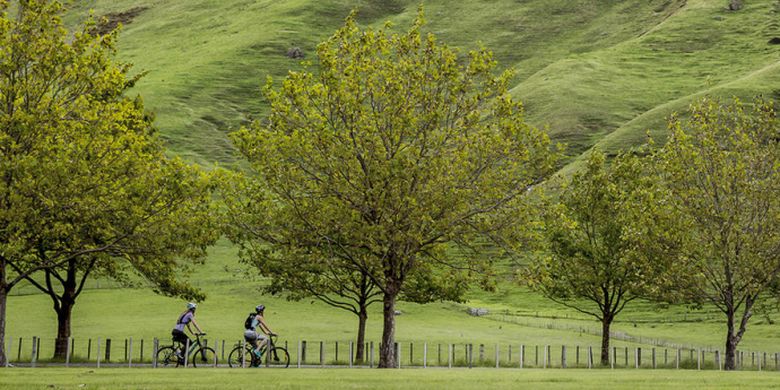 Bersepeda, salah satu aktvitas yang bisa dilakukan saat berlibur di Selandia Baru. 