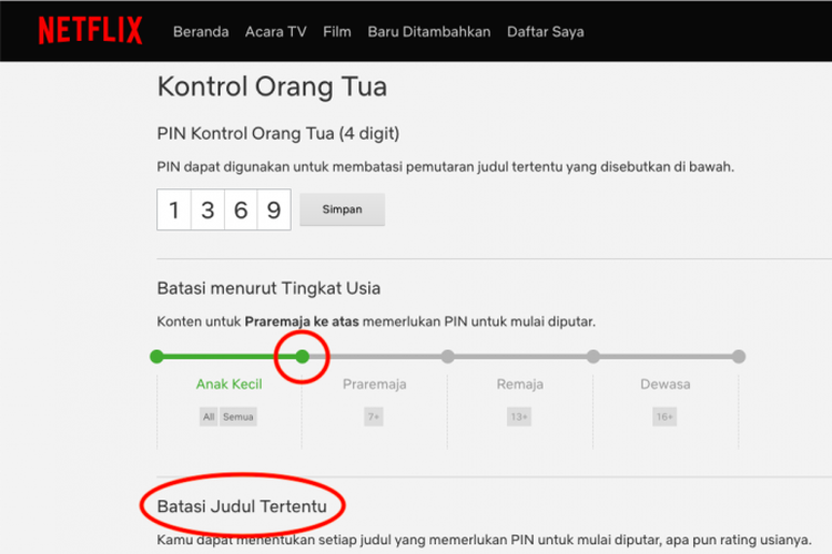 Ilustrasi pengaturan kontrol konten di Netflix