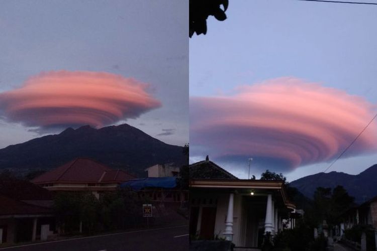 Topi Awan Gunung Lawu