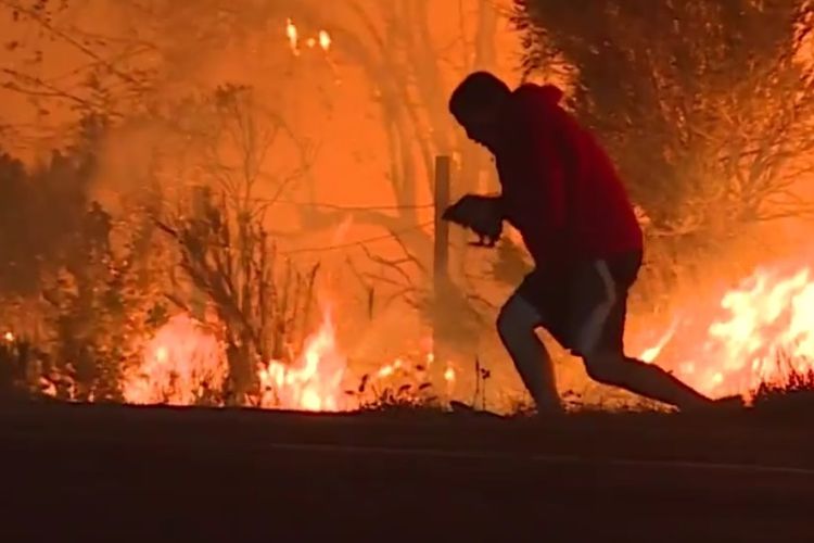 Aksi seorang pria menyelamatkan kelinci dari kobaran api di Los Angeles, California. (CNN)