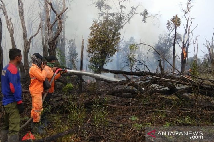 Tim gabungan sedang memadamkan kebakaran hutan di kawasan Taman Nasional Danau Sentarum wilayah Kapuas Hulu Kalimantan Barat. ANTARA/Timotius/ Balai Besar Taman Nasional Betung Kerihun dan Danau Sentarum.