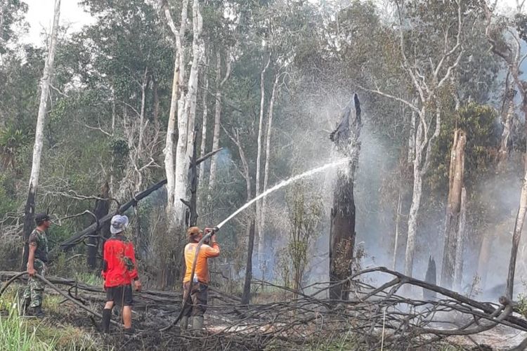 Tim gabungan sedang memadamkan kebakaran hutan di kawasan Taman Nasional Danau Sentarum wilayah Kapuas Hulu Kalimantan Barat. ANTARA/Timotius/ Balai Besar Taman Nasional Betung Kerihun dan Danau Sentarum.