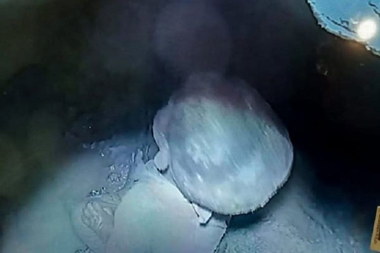 Tampilan kamera dengan pandangan malam menunjukan kondisi bayi Nadim yang terjebak dalam lubang sumur bor di distrik Hisar, Haryana, India, Jumat (22/3/2019).