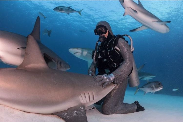 Cristina Zenato saat berinteraksi dengan hiu di dasar lautan.