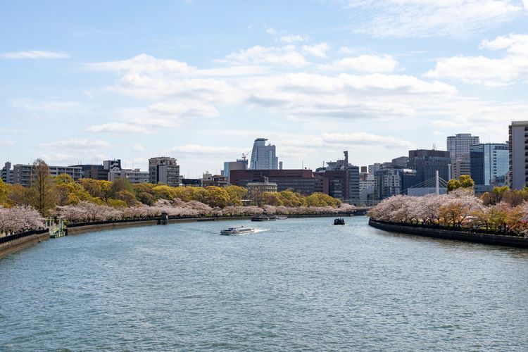 Pemandangan Sungai Okawa saat sakura mekar. (SHUTTERSTOCK/TRIALIST)