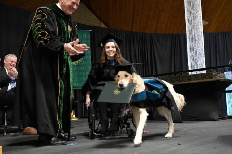 Upacara penyerahan ijazah kehormatan kepada seekor anjing di kampus Universitas Clarkson di New York.