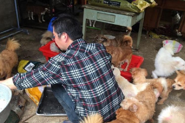 Zhang Kai. Seorang pria asal Chengdu merawat ratusan anjing meski dia terlilit utang.
