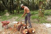 Asian Agri: Kami Tidak Khawatirkan Pasar di Uni Eropa