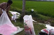 Pupuk di Aceh Langka, Ini Penyebabnya...