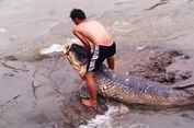 Warga Mojokerto Pelihara 30 Ekor Ikan Arapaima di Rumahnya