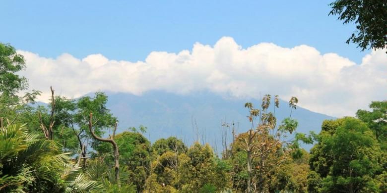 Puncak Gunung Raung saat dipantau di Pos Pemantauan Raung di Desa Sumberarum, Kecamatan Songgon, Banyuwangi.