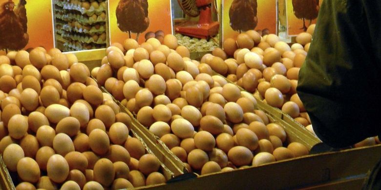 Kenaikan harga pakan ternak hingga 50 persen di Manado, Sulawesi Utara, telah memicu juga kenaikan harga telur ayam.