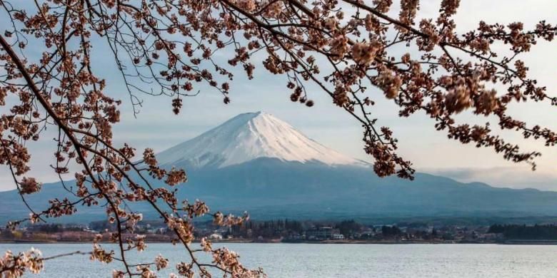 Pemandangan Gunung Fuji, Jepang, dengan latar depan bunga sakura di musim semi. Komite Warisan Dunia UNESCO, 16 Juni 2013 memutuskan kawasan Gunung Fuji masuk dalam Warisan Dunia alam dan budaya global.