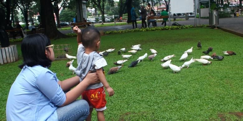 Pengunjung memberi makan merpati-merpati yang ada di Taman Suropati, Jakarta