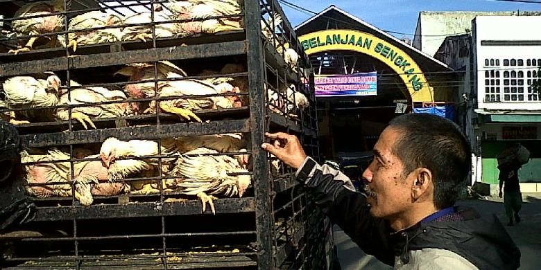 Akitifitas jual beli ayam potong di Pasar Sentral Sengkang, Kabupaten Wajo, Sulawesi Selata. Kamis, (19/09/2013).