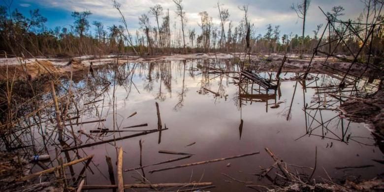 Kerusakan hutan rawa akibat tambang emas tradisional di Kereng pangi, Kalimantan Tengah, 24 Agustus 2013. Sebanyak 140 negara menandatangani traktat PBB untuk menangani polusi merkuri serta penggunaan produk metal berbahaya.