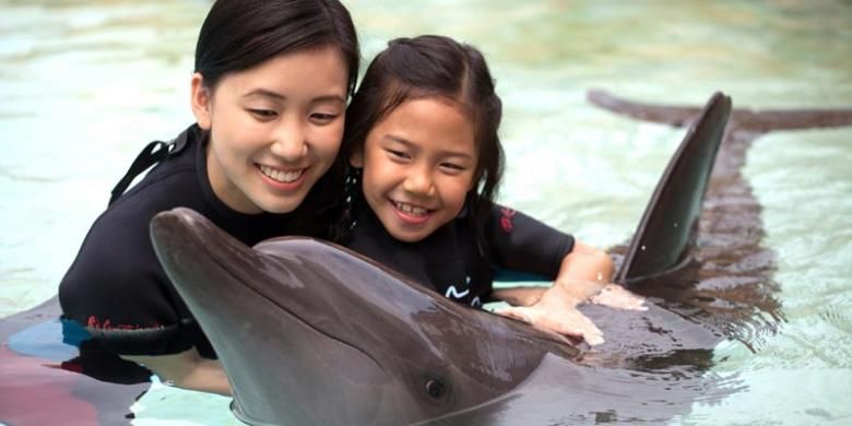 Bermain dengan lumba-lumba di Dolphin Island Resort World Sentosa, Singapura.
