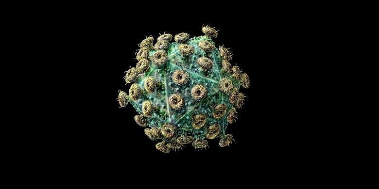 Ilustrasi Human Immunodeficiency Virus (HIV)