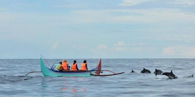 Lumba-lumba di Teluk Kiluan, Lampung.