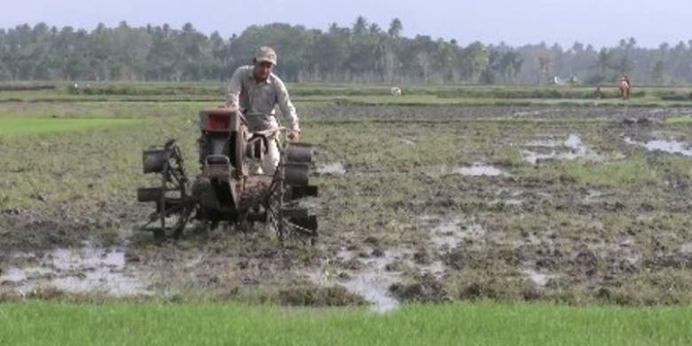Ilustrasi petani mengolah lahan memakai traktor tangan
