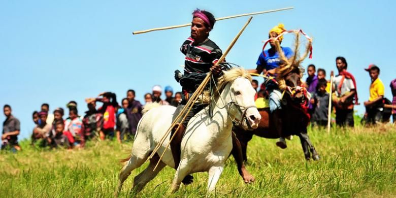 Pasola, tradisi perang-perangan dengan menunggang kuda sambil menyerang lawan dengan lembing di Pulau Sumba, Nusa Tenggara Timur. 