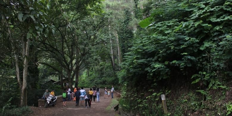 Taman Hutan Raya Ir. H Juanda di Dago Pakar, Bandung