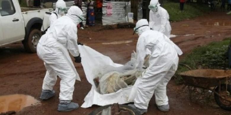 WHO menyatakan status darurat global terkait penyebaran virus ebola