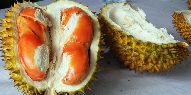 Durian merah, buah khas Kabupaten Banyuwangi, Jawa Timur.