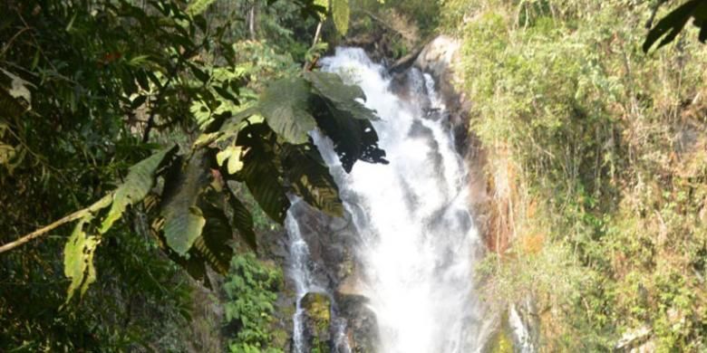 Air Terjun Cunca Rede setinggi 70 meter berada`di Kampung Ntaur, Desa Sano Lokom, Kecamatan Ranamese, Kabupaten Manggarai Timur, Nusa Tenggara Timur. 