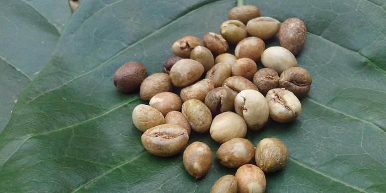 Meski keberadaan kopi lanang tak seterkenal kopi luwak, namun ternyata harganya bersaing dengan harga kopi luwak. Bahkan, pada jenis kopi lanang dari varietas kopi tertentu, harganya bisa jauh mengalahkan kopi luwak.