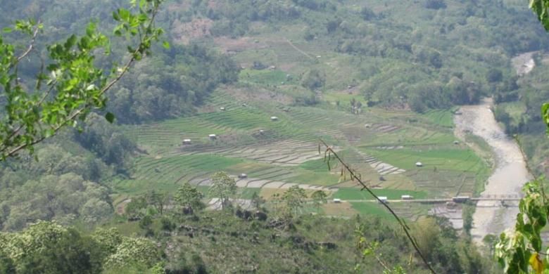Persawahan Lingko Lodok Rawang di Kampung Rawang, Kecamatan Lambaleda, Kabupaten Manggarai Timur, Nusa Tenggara Timur.