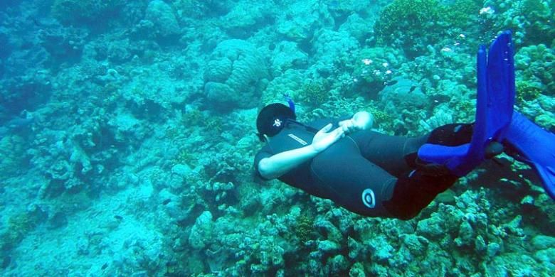 Menyelam dan snorkeling di Bunaken, Sulawesi Utara, menjadi kegiatan wisata yang menyenangkan. Terumbu karang dan aneka jenis ikan menjadi daya tarik kawasan ini.
