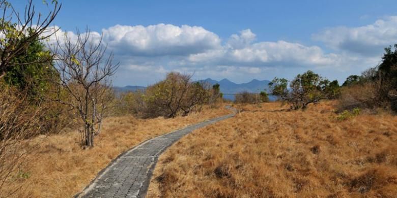 Pulau Menjangan di Taman Nasional Bali Barat.