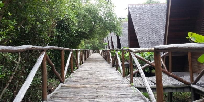 Jalan papan setapak yang mengantarkan pengunjung berkeliling melihat Taman Wisata Alam Angke Kapuk.