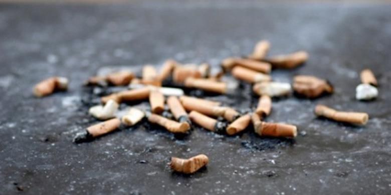Ahli Puntung Rokok  Lebih Merusak Lingkungan Ketimbang 