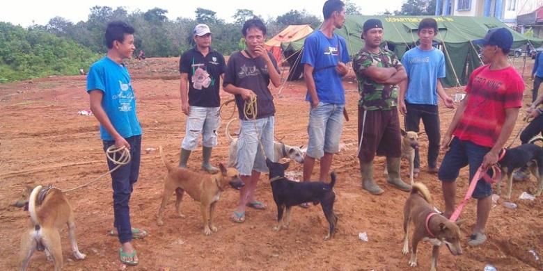Para pemburu bersama anjingya bersiap dalam olahraga berburu babi hutan di Bengkulu.