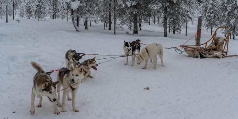 Kereta salju di Lapland, Finlandia