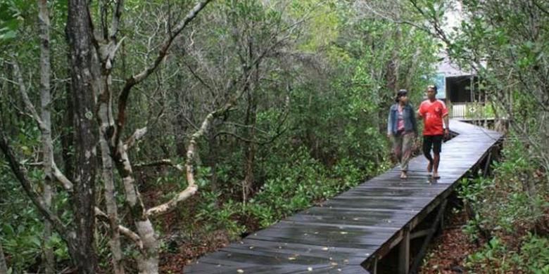 Pengunjung melintasi jalur tracking hutan mangrove di Karimunjawa melalui jalan setapak dari jembatan kayu. 