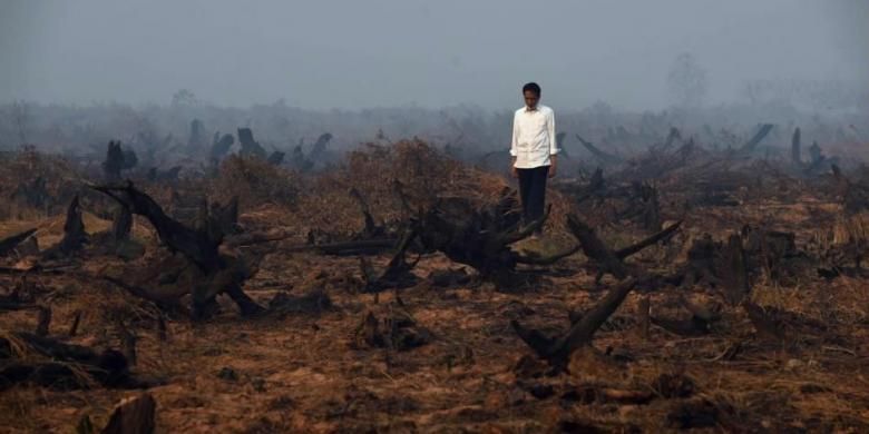 Presiden Joko Widodo berada di tengah area hutan gambut yang rusak dan hangus saat melakukan inspeksi kebakaran hutan di Banjarbaru, Kalimantan Selatan, 23 September 2015.