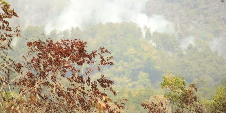 Gunung Ciremai Kabupaten Kuningan, Jawa Barat, kembali terbakar cukup luas, Senin (05/10/2015). Sejumlah Petugas Taman Nasional Gunung Ciremai (TNGC), sudah terjun dan berusaha memadamkan api yang menyebar ke sejumlah areal hutan, yang terbakar sejak Sabtu (03/10/2015) lalu.