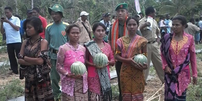 Sejumlah petani perempuan asal Kabupaten Timor Tengah Selatan (TTS) sedang panen buah semangka tanpa biji beberapa waktu lalu