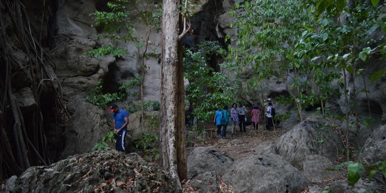 Pepohonan di dalam area Goa Batu Cermin, Desa Batu Cermin, Kecamatan Labuan Bajo, Manggarai Barat, Nusa Tenggara Timur, Rabu (18/11/2015). Obyek wisata Goa Batu Cermin memiliki luas 19 hektar dengan tinggi goa sekitar 75 meter. 