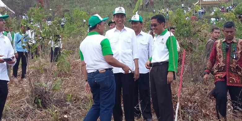 Presiden Joko Widodo dan Direktur Utama Perum Perhutani Mustoha Iskandar,
saat memperingati Hari Menanam Pohon Indonesia,  di Taman Hutan Rakyat,
Kalimantan Selatan, Kamis (27/11/2015).

