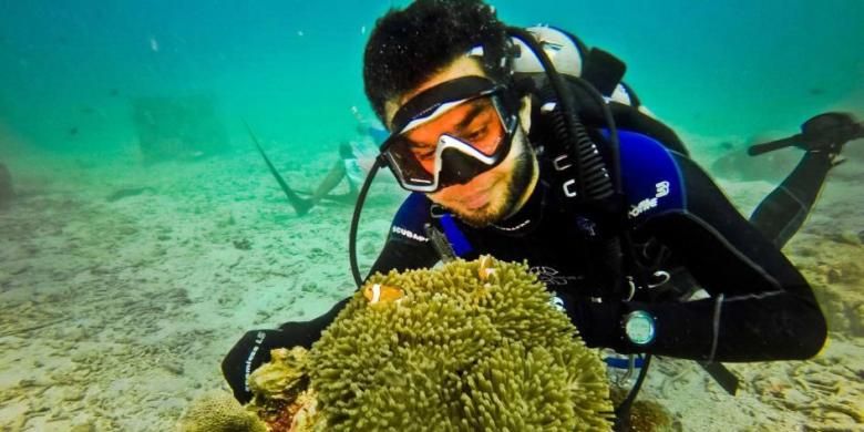 Ikan Anemon bermain di kedalaman 10 meter di Rubiah Jetty Dive Spot, Pulau Weh, Sabang, (2/1/2016). Di lokasi taman karang seluas 500 meter persegi ini telah dibangun miniatur tugu kilometer nol bawah laut oleh Panglima Laot Iboh bersama warga setempat dan tim selam dari Scuba Weh Diving Center, Rubiah Tirta, dan Hore-Hore Dive Club (H2DC) Aceh. 