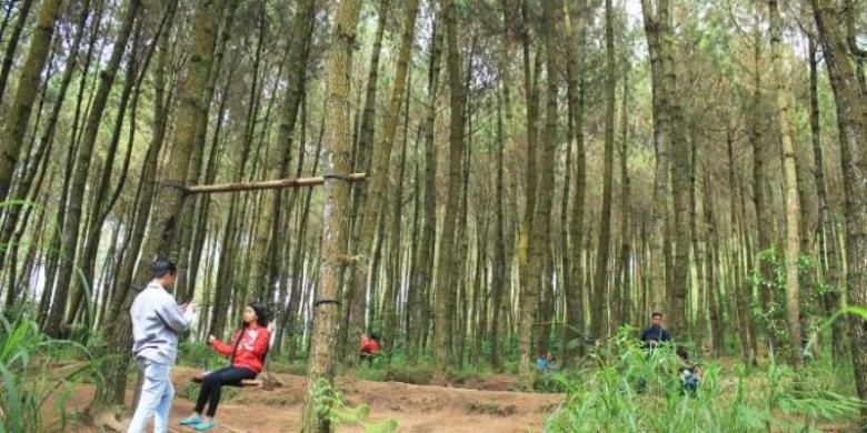 Pengunjung bersantai di kawasan Hutan Pinus, Kragilan. 