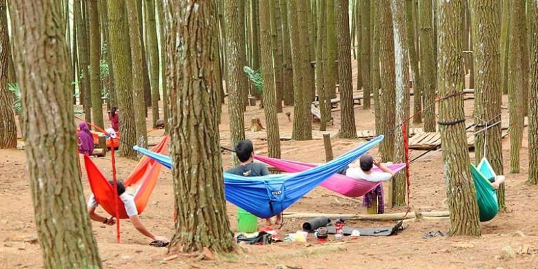 Bersantai dengan hammock di Hutan Pinus Mangunan, Yogyakarta.