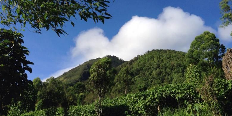 Pemandangan dari kaki Gunung Panderman, Batu, Jawa Timur, Jumat (13/5/2016) pagi.