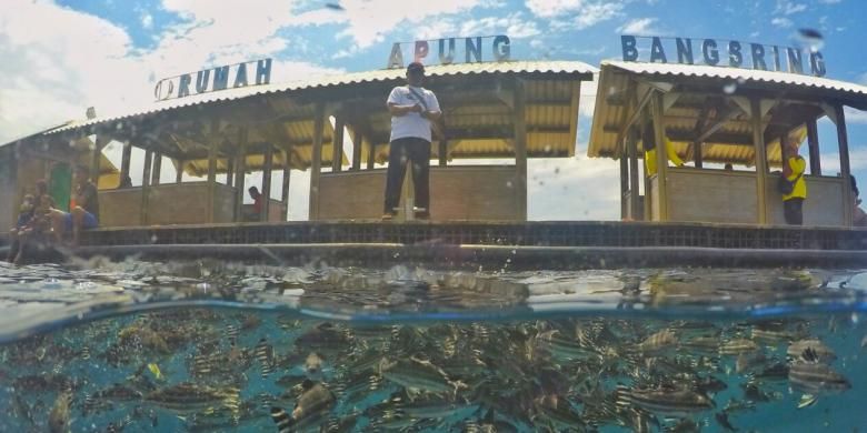 Rumah Apung Bunder Bangsring Underwater, salah satu destinasi wisata baru di Banyuwangi, Jawa Timur.