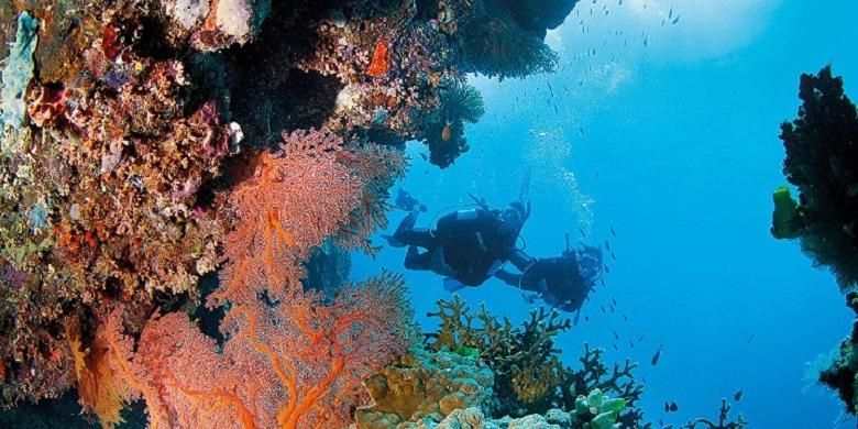 Great Barrier Reef adalah salah satu keajaiban alam dunia dan Situs Warisan Dunia. Laut dengan ekosistem terumbu karang terbesar di dunia ini juga tujuan wisata terbaik dunia menurut AS News & World Report 2016-2017.
