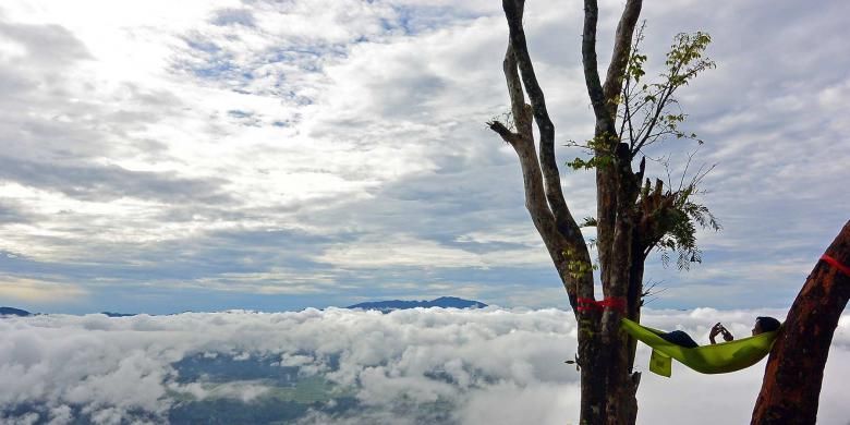 Seorang pengunjung bersantai di hammock yang digantung di pohon di Lolai, sebuah lokasi indah di ketinggian 1400 meter di Toraja Utara.